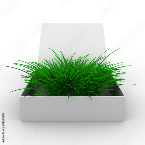 Open box with grass. Isolated 3D image