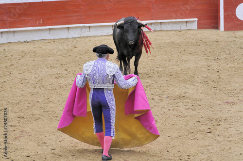 Matador & Bull