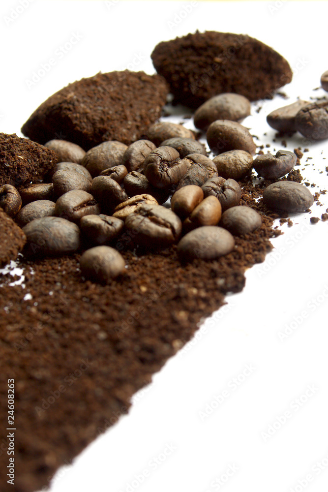 Coffee grains on the white Coffee grains on the white