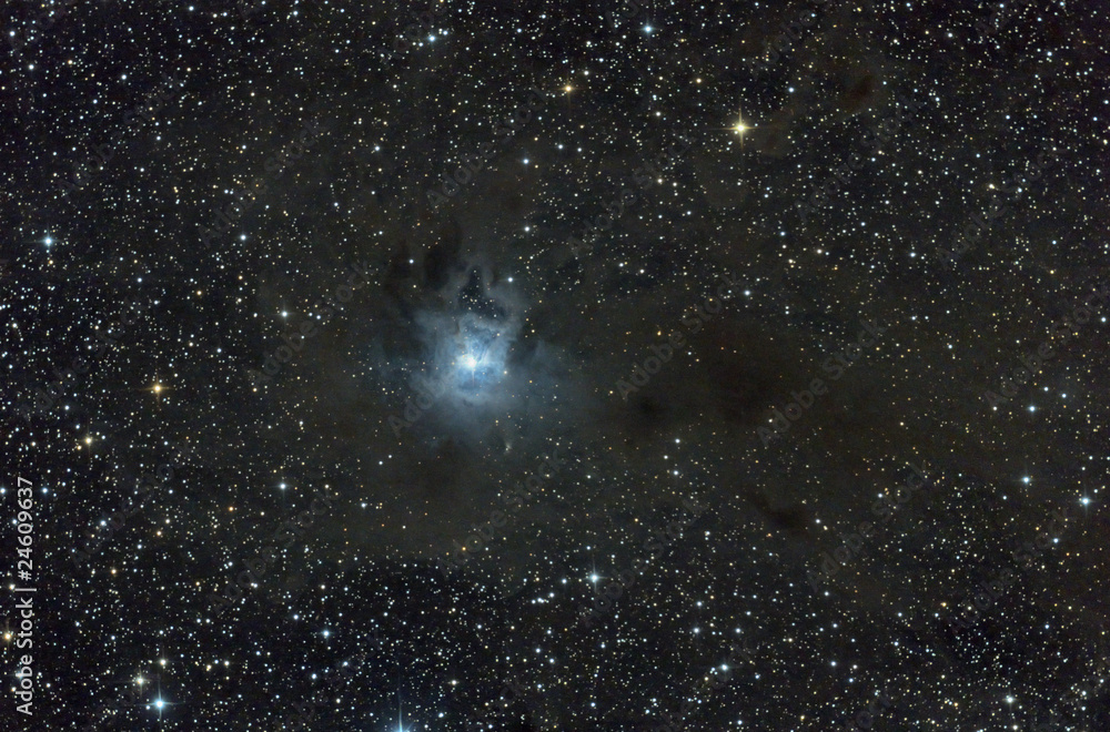Iris Nebula, NGC 7023. Reflection nebula in Cepheus. Iris Nebula, NGC 7023. Reflection nebula in Cepheus.