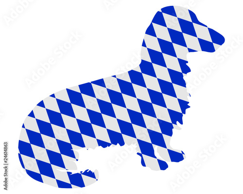 Bayerischer Langhaardackel