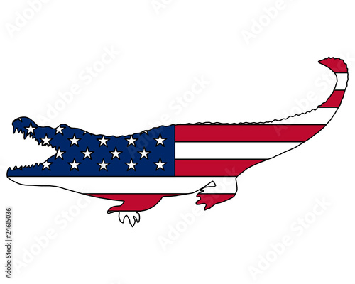Amerkanischer Alligator