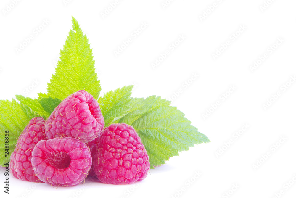 raspberry raspberry