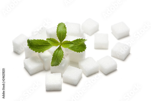 Stevia und Zuckerwürfel
