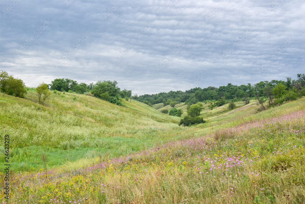 Hilly spaces  in Ukraine at cloudy summer day.