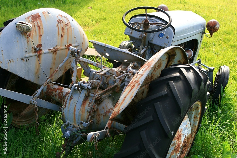 Oldtimer Traktor auf einer Wiese