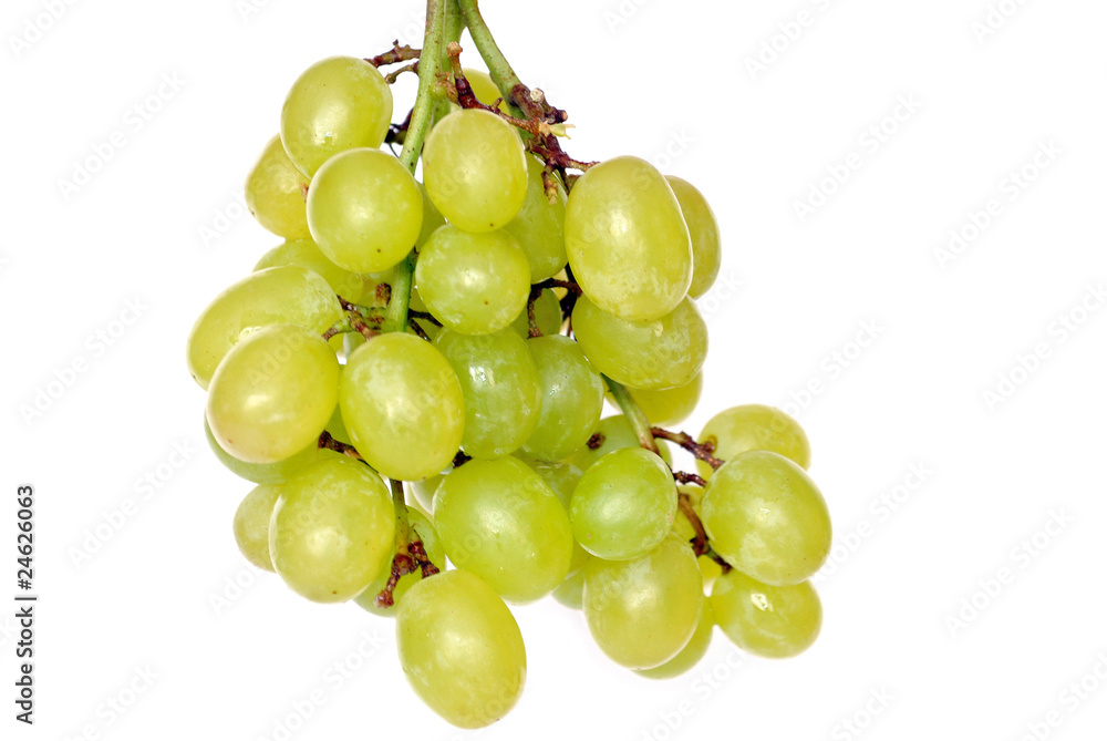 Branch of the sour grapes insulated on white background. Branch of the sour grapes insulated on white background.
