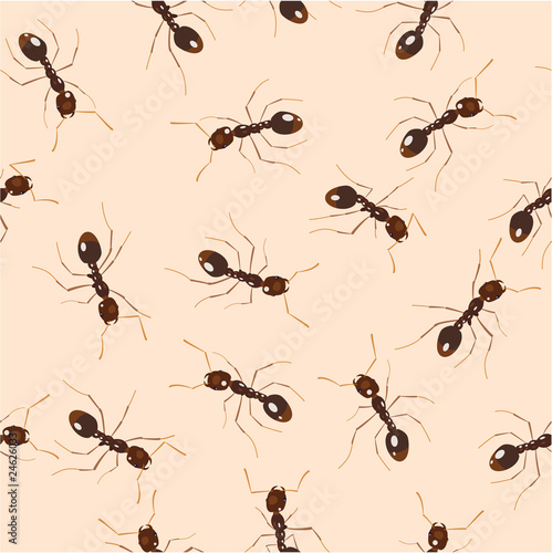 ants © Alexey Buravtsoff