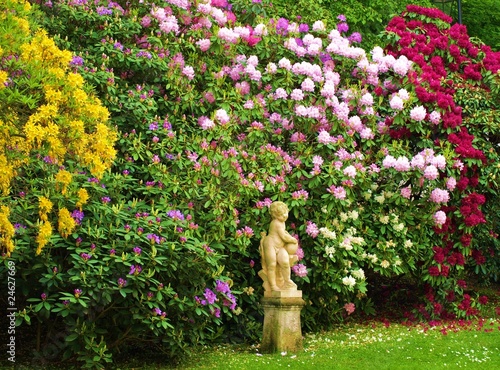 Rhododendrongarten photo