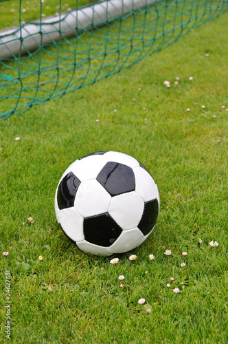 Soccer ball in the goal net © pincasso
