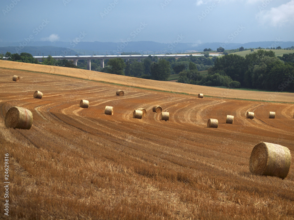 Obraz premium Strohrollen auf dem Feld