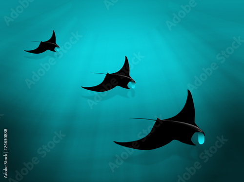 Bild auf Leinwand manta