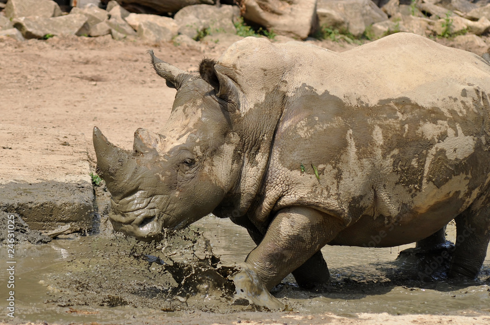 Obraz premium leisure time