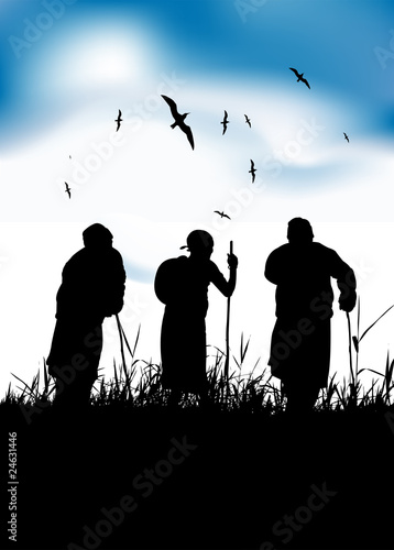 Three old people walk on nature together