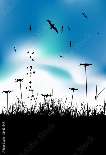 Summer meadow and birds in sky, black silhouette