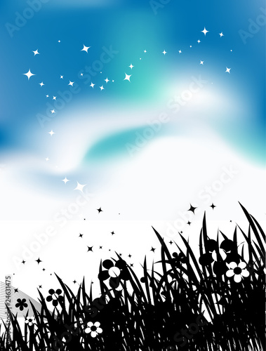 Summer meadow and birds in sky, black silhouette