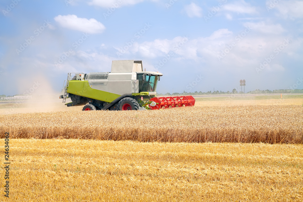 Fototapeta premium Combine for harvesting wheat