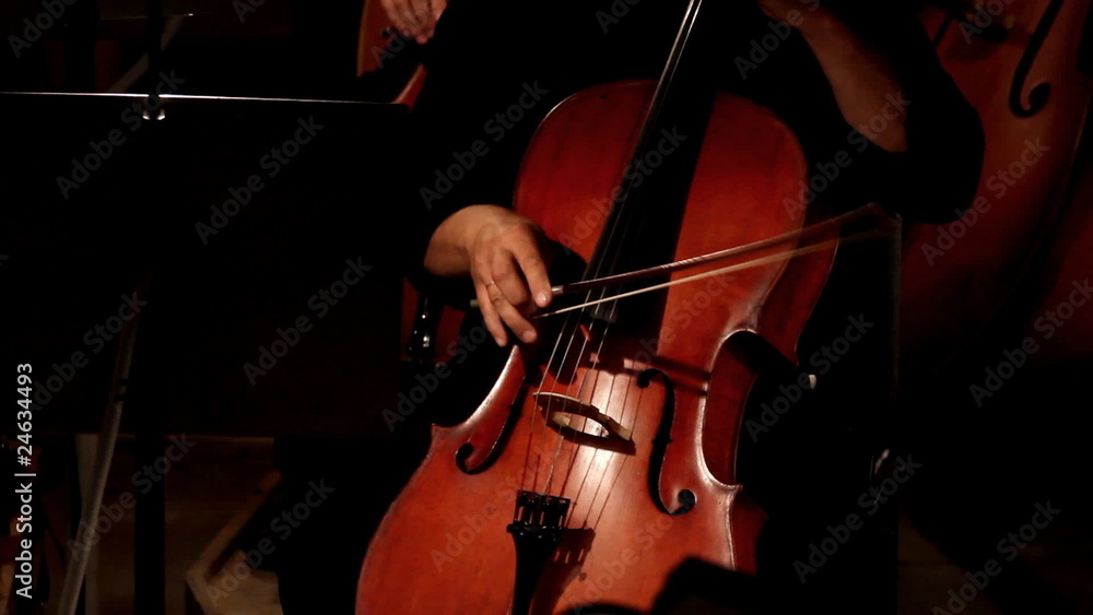 close-up view on violoncello in orchestra close-up view on violoncello in orchestra