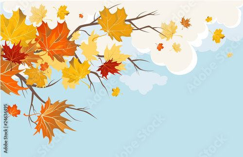 Autumn leaves