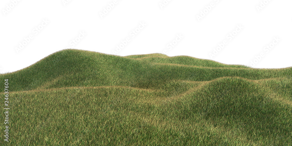 Naklejka premium hügelwiese im sommer