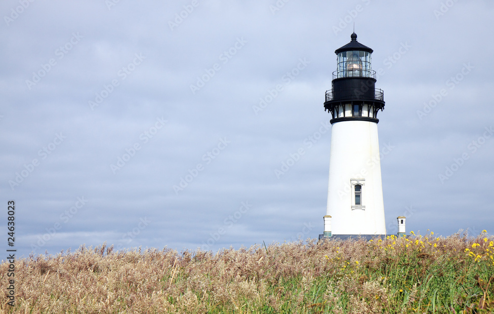 Lighthouse on a Grassy Cliff