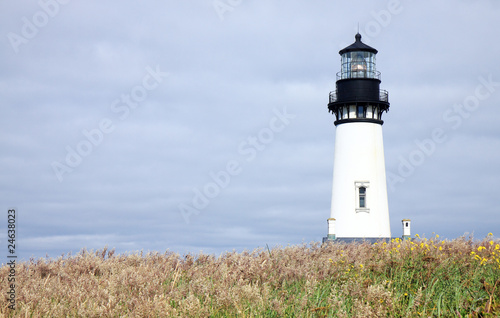 Lighthouse on a Grassy Cliff