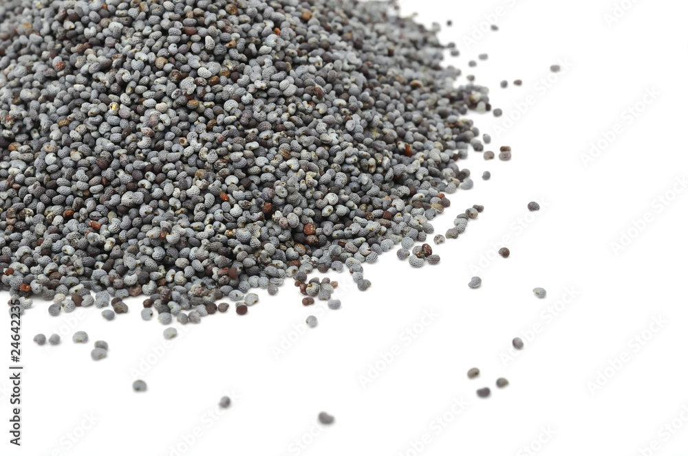 Poppy Seeds Poppy Seeds