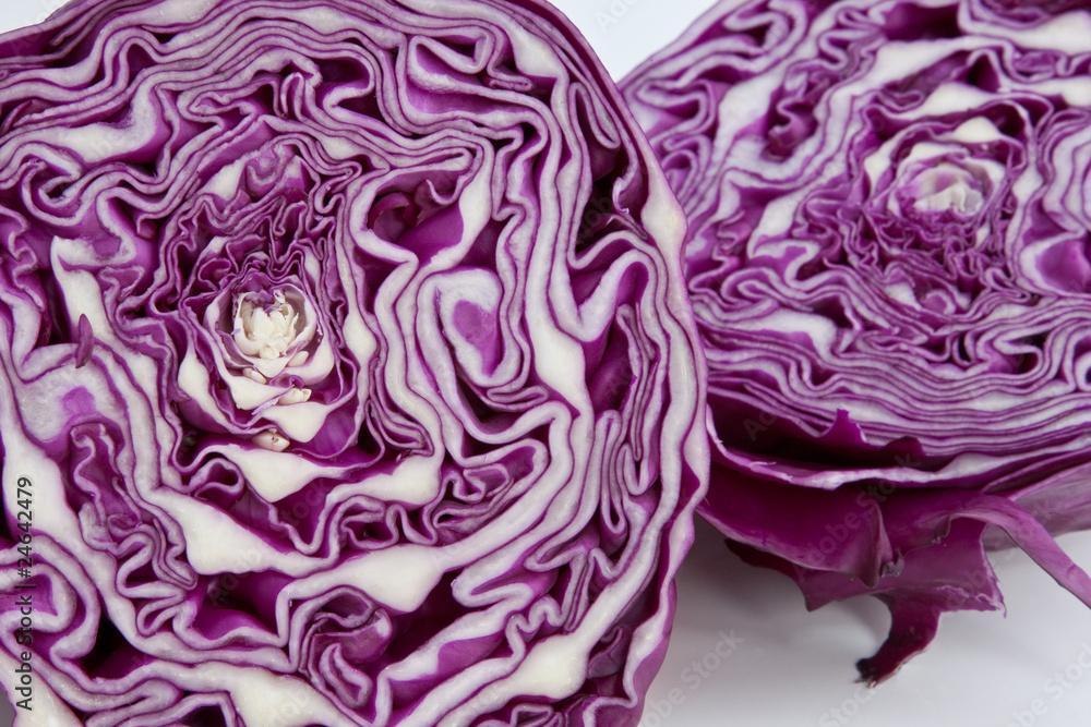 Red Cabbage Red Cabbage