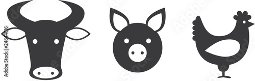 meat
