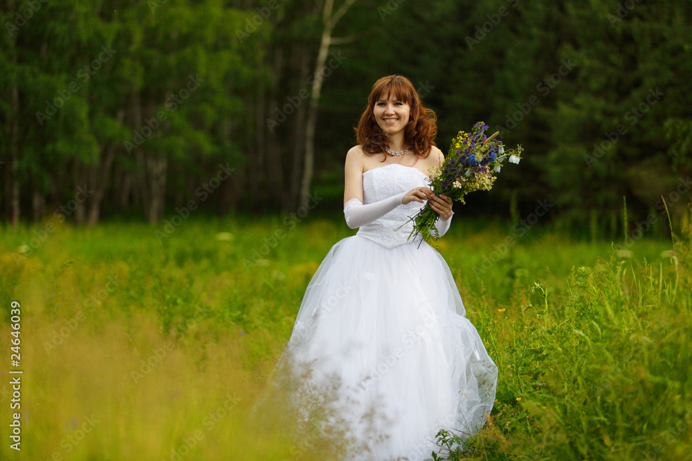 The girl in a wedding dress The girl in a wedding dress
