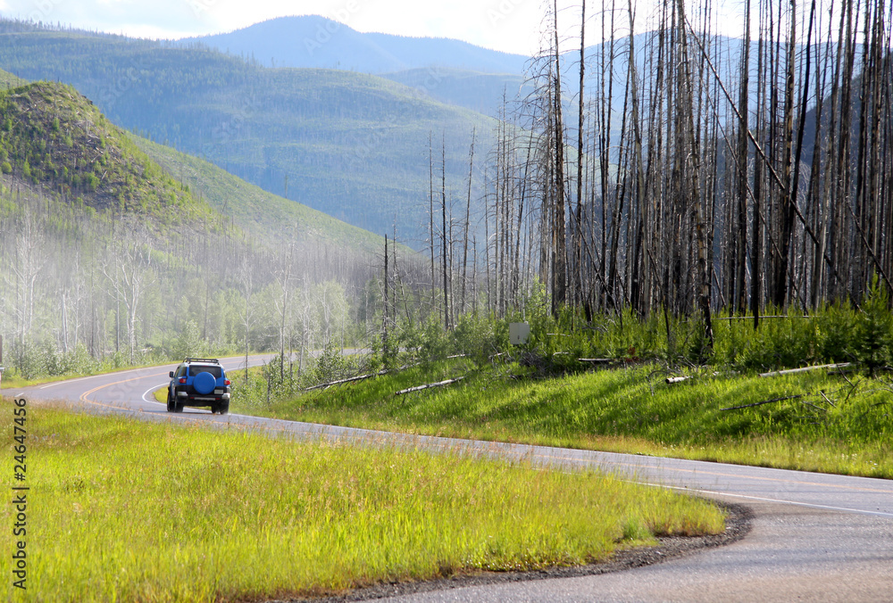 Obraz premium Scenic drive through rocky mountains in Montana