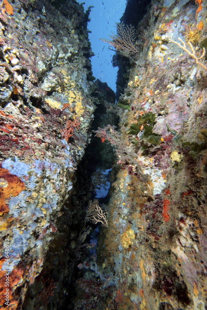 fondale marino mediterraneo fondale marino mediterraneo