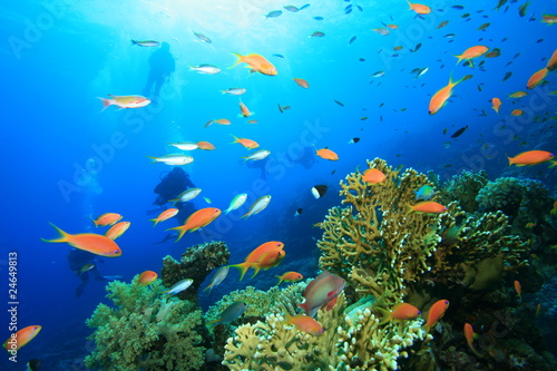 Fototapeta Naklejka Na Ścianę i Meble -  Scuba Diving on a coral reef