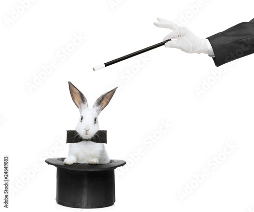 Fotografia A rabbit in a hat and hand holding a magic wand