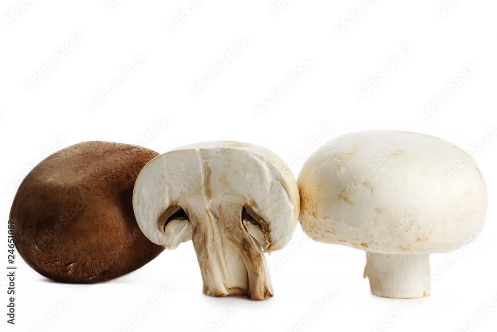 weisser, brauner und ein halber champignon weisser, brauner und ein halber champignon