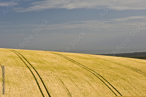 Ditchling Beacon Landscape