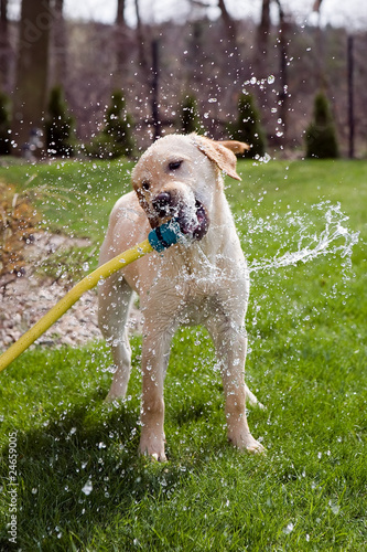 Refreshing