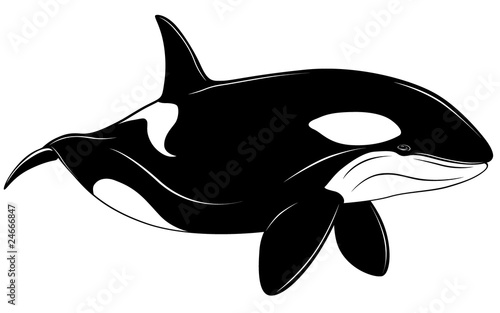 Killer whale, tattoo