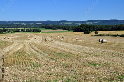 Agriculture en Bourgogne.