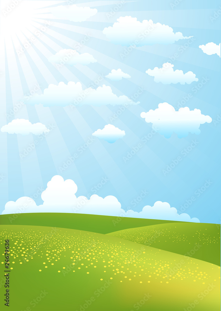 Fototapeta premium Nature green field background