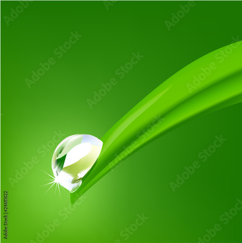 water drops on the green grass