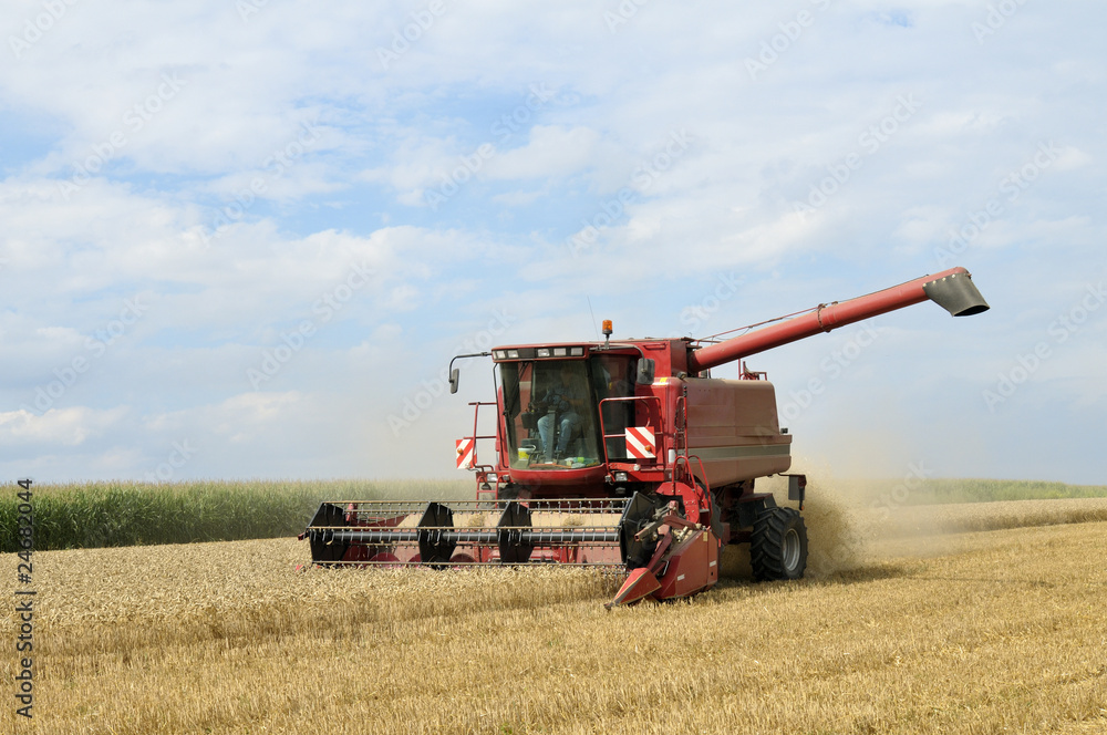 Fototapeta premium Moisson de blé