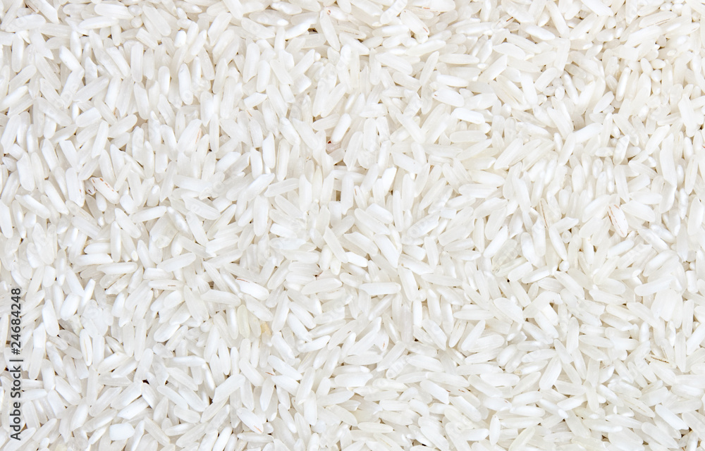 rice rice