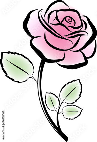 vector rose