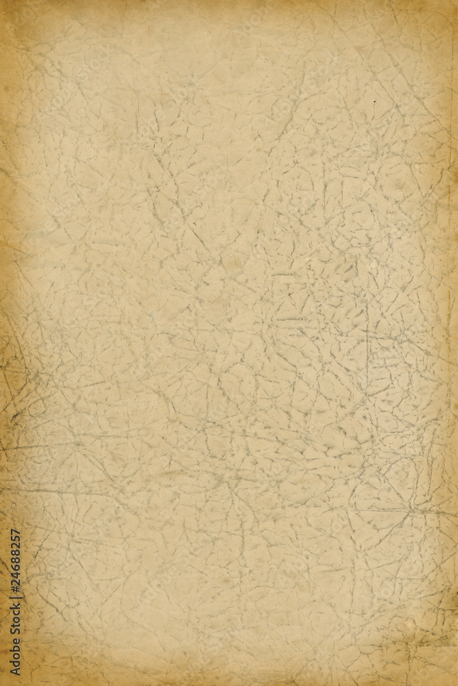 Fototapeta premium Grunge paper background