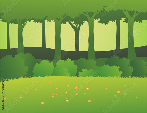 Forest background