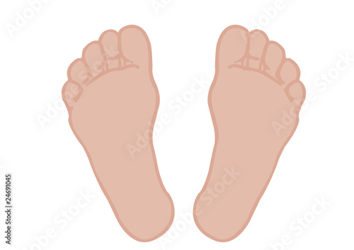 Vector illustration of a foot of feet on a white background © google