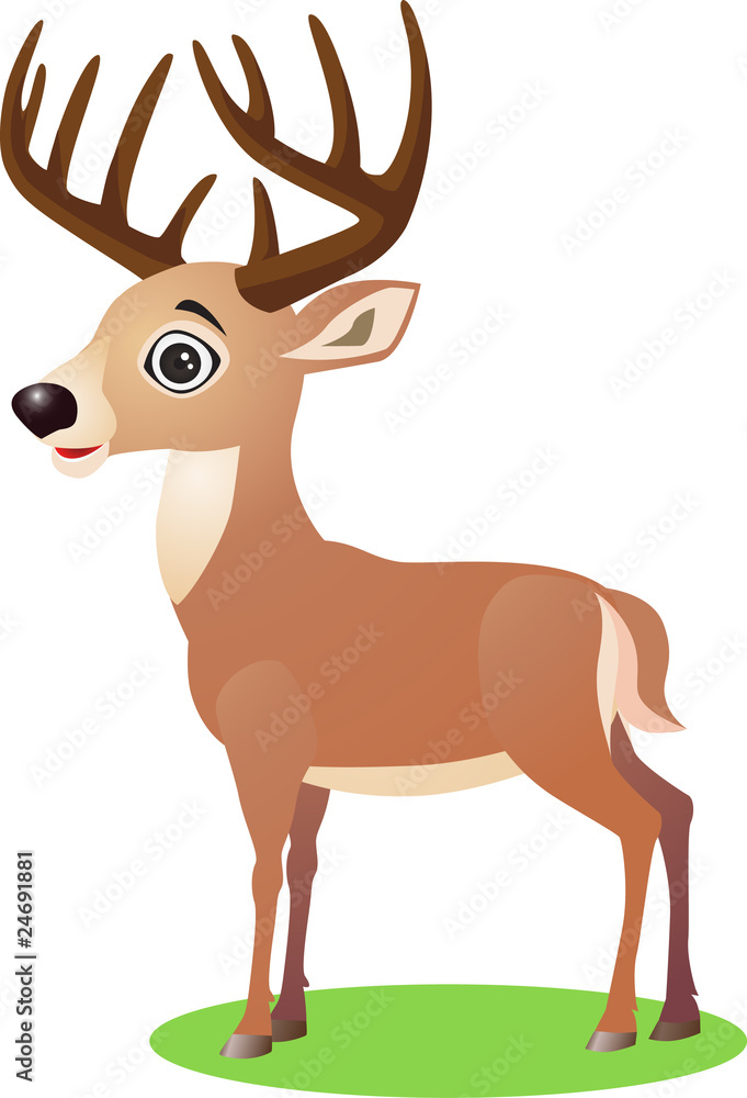 Deer cartoon illustration Deer cartoon illustration