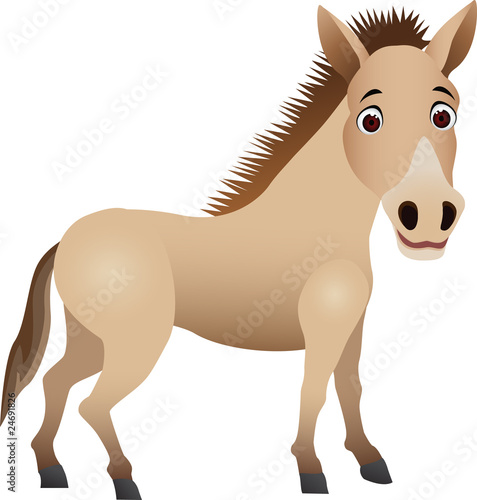 Brown horse