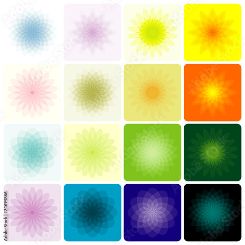 Set of floral geometric shapes in color toned down.